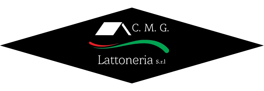 LOGO NEL RETTANGOLO NERO 2